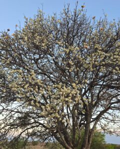 WhatsApp Image 2026-02-05 at 21.21.56