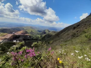 whatsapp-image-2022-04-30-at-12.26.29